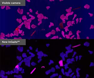 2 Camera Comparison