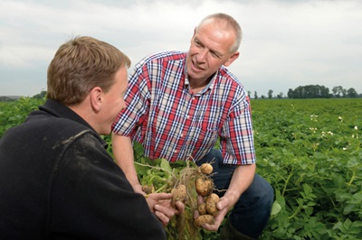 Bayer-Farm Frites-2015-0046