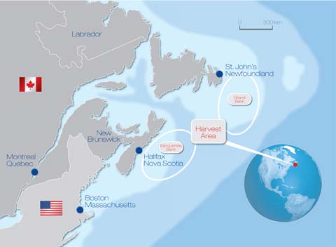 Clam Harvesting Map