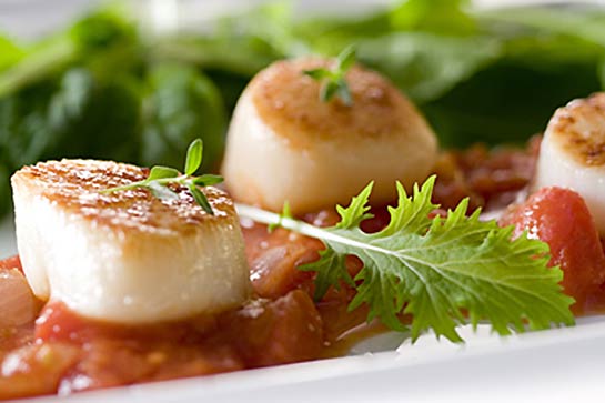 Eastern-Fisheries-scallops