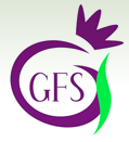 GFS logo