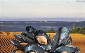 Mussels