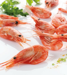 RG coldwater prawns