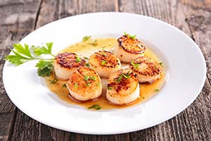 Scallops Image 300