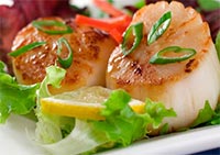 Wanchese-scallops-image