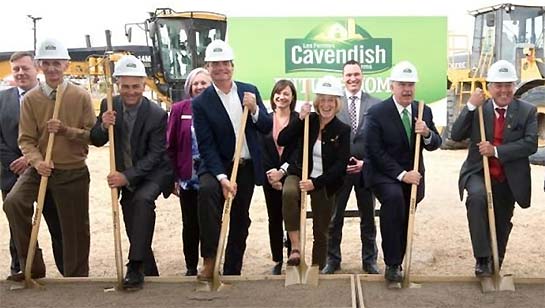 ground breaking Cavendish