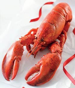 lidl-lobster