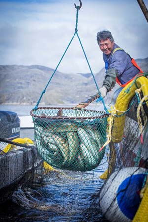 maniitsoq nutaaq