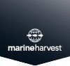 marine harvest logo