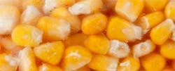 sweetcorn